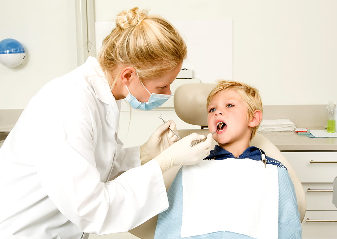 dental providers portal