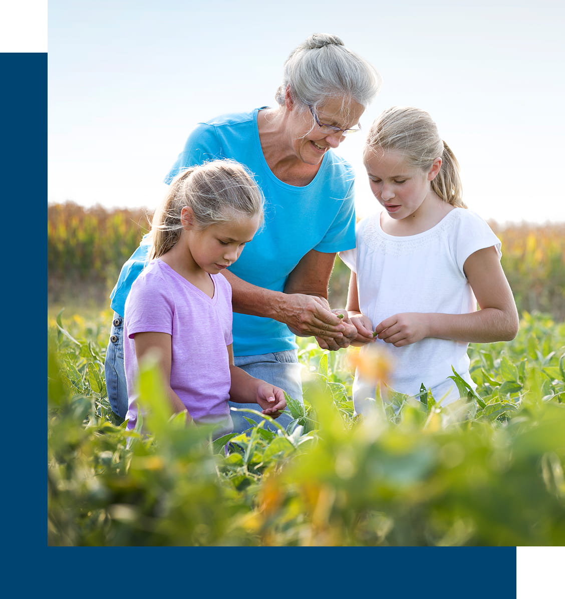 Grandmother and children in a beautiful field of flowers